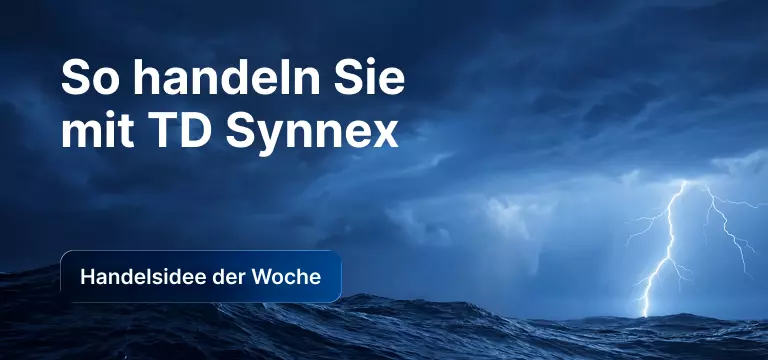 TD-SYNNEX-Aktie nach den Q3-Zahlen des Geschäftsjahres