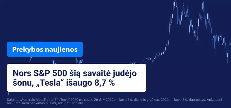 Ar naftos kainos kilimas padės „Tesla“ bendrovei? 