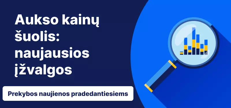 Aukso kainų šuolis: naujausios įžvalgos