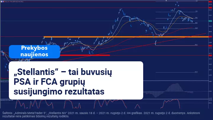 Automobilių grupė „Stellantis“ įsigijo „First Investors Financial Service Group“