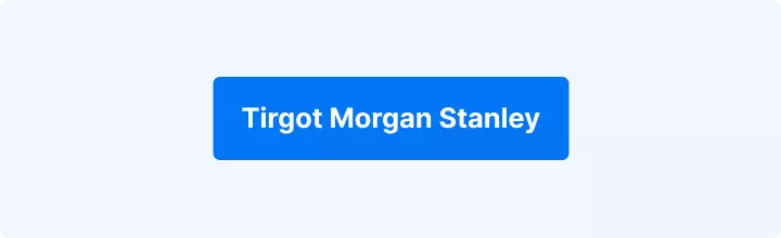 Baneris Morgan Stanley akciju ieguldījumiem