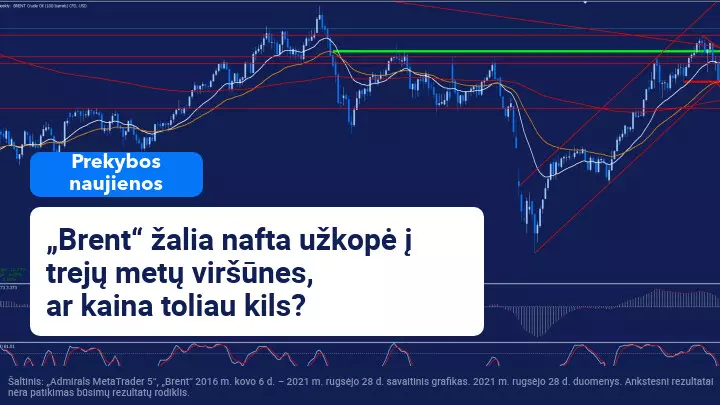„Brent“ žalios naftos kaina viršijo 80 dolerių 