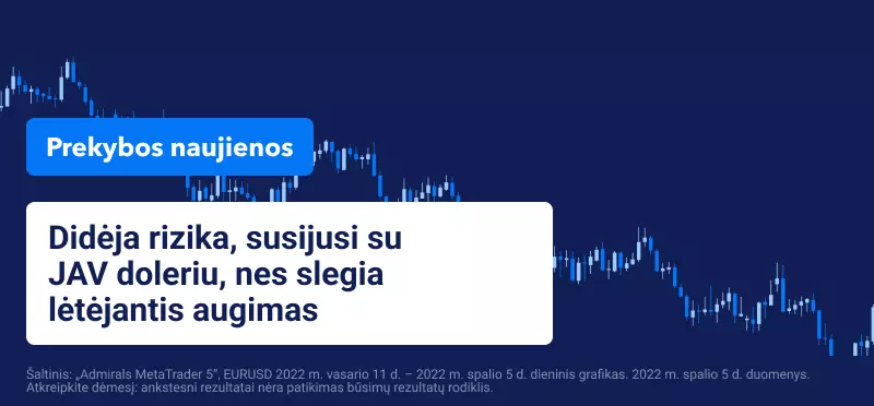 Didėja rizika, susijusi su JAV doleriu, nes slegia lėtėjantis augimas