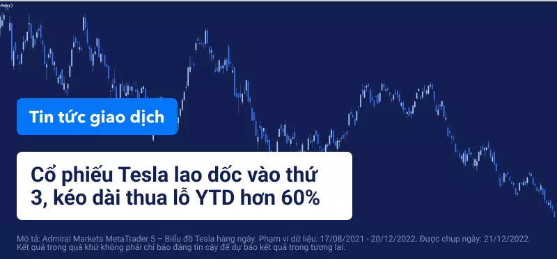 Tesla Aktien führen den volatilen Monat an