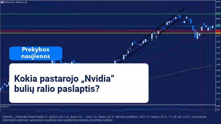 Išaugus paklausai, išaugo ir „Nvidia“ akcijos