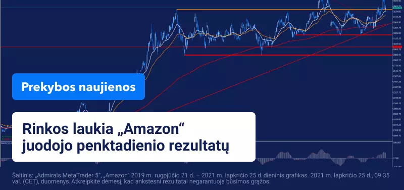 JAV Padėkos šventė pradeda ir šventinių pirkimų sezoną