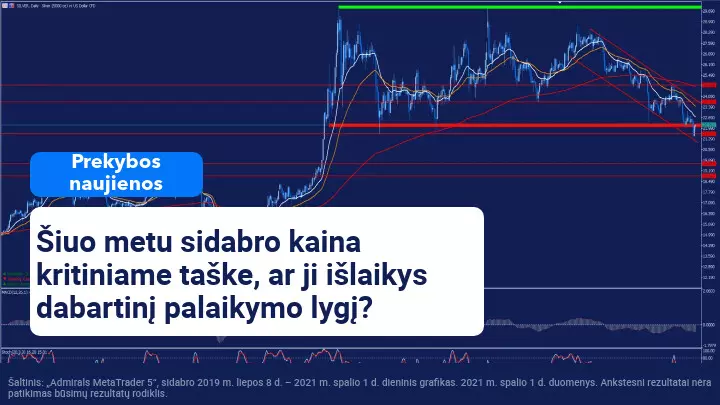 Kas darosi su sidabro kaina? 