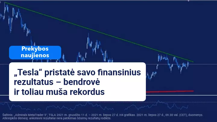 „Tesla“ pristato savo finansinius rezultatus ir toliau muša rekordus 