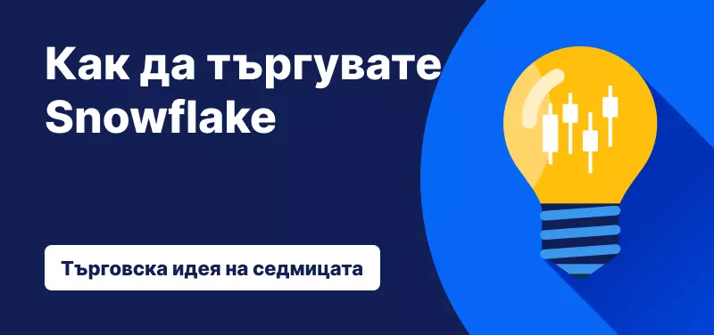 Търговска идея на седмицата Снежинка