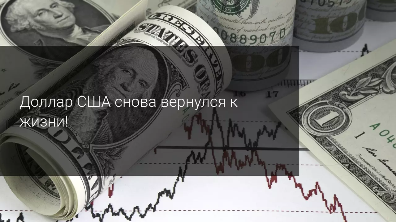 Доллар США снова вернулся к жизни!