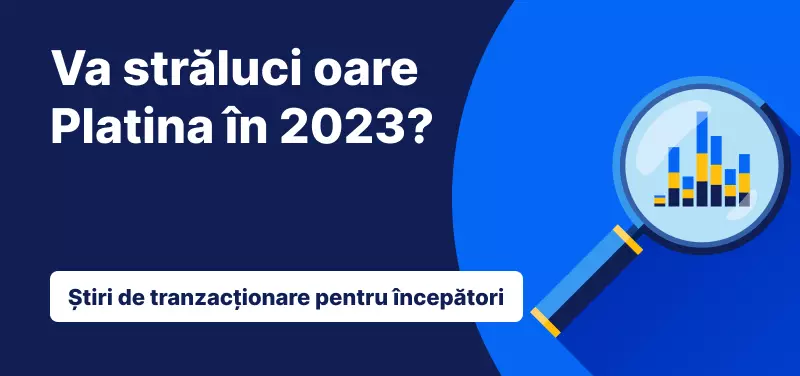 W10 Platina in 2023
