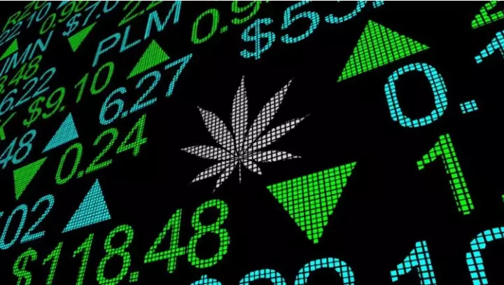 actions cannabis
