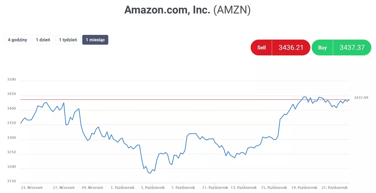 specyfikacja amazon