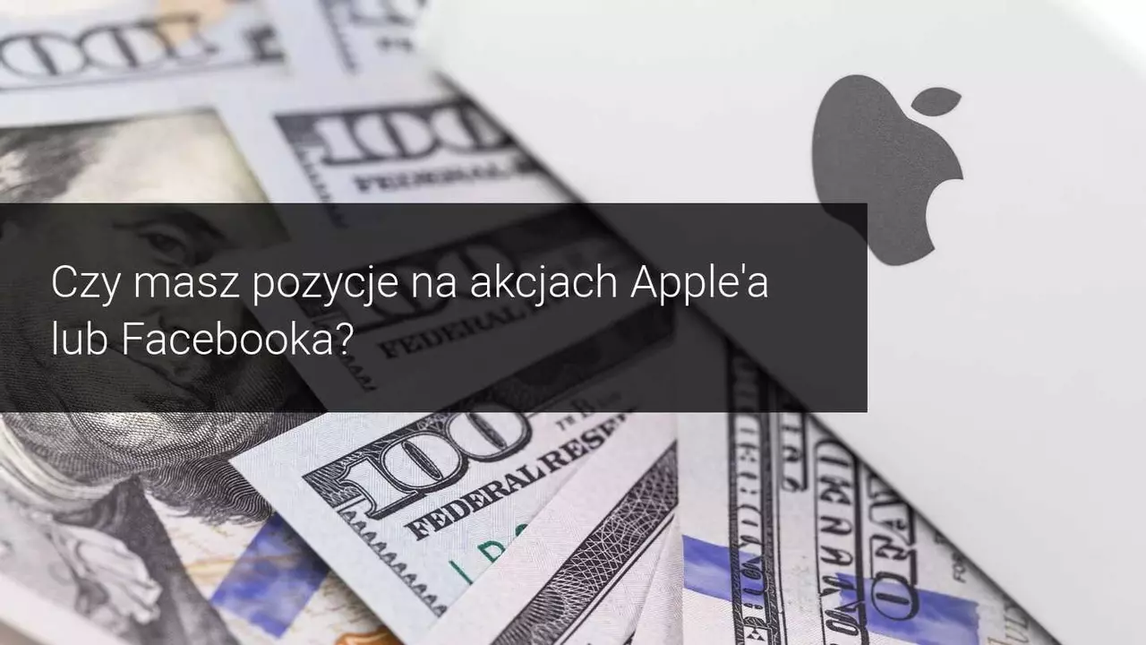 wzrost przychodów spółki amerykańskie
