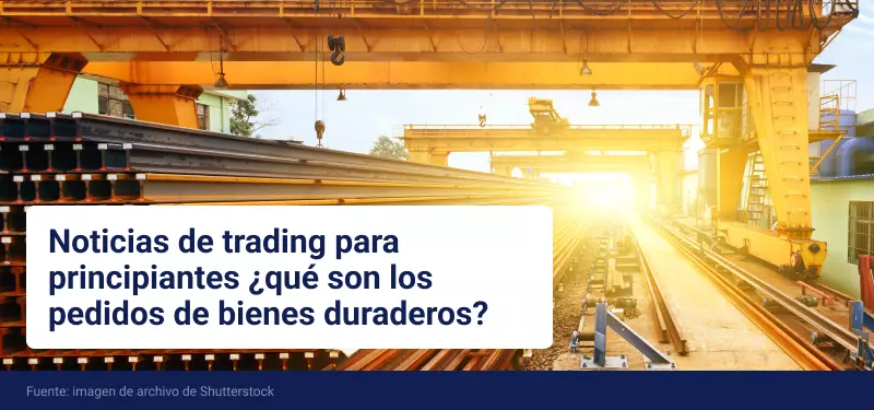bienes duraderos