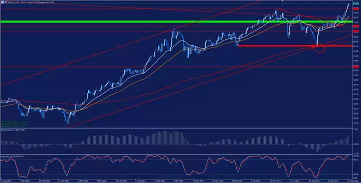 brent daily