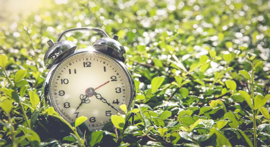 Daylight Savings EUA Trading Forex