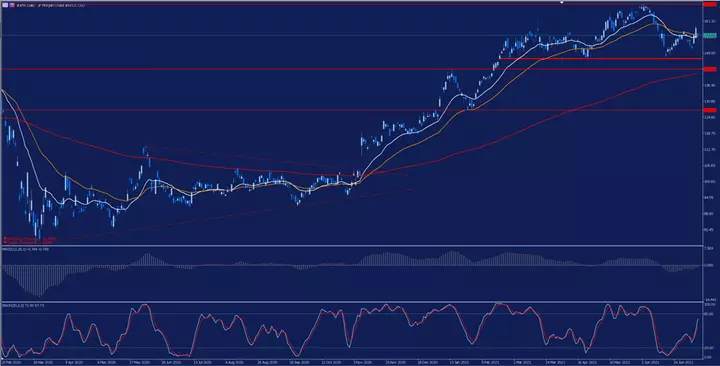 JP Morgan Chase & Co Tageschart aus dem MetaTrader 5