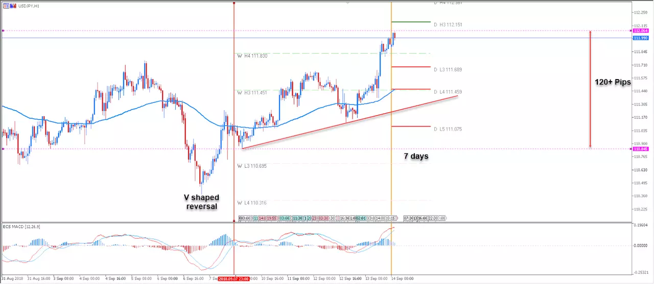 MetaTrader 5