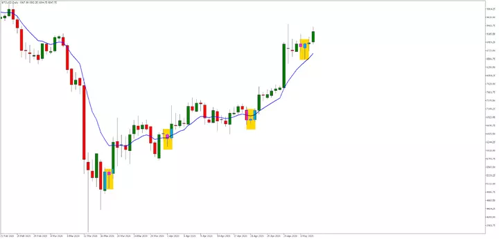 crollo bitcoin halving maggio