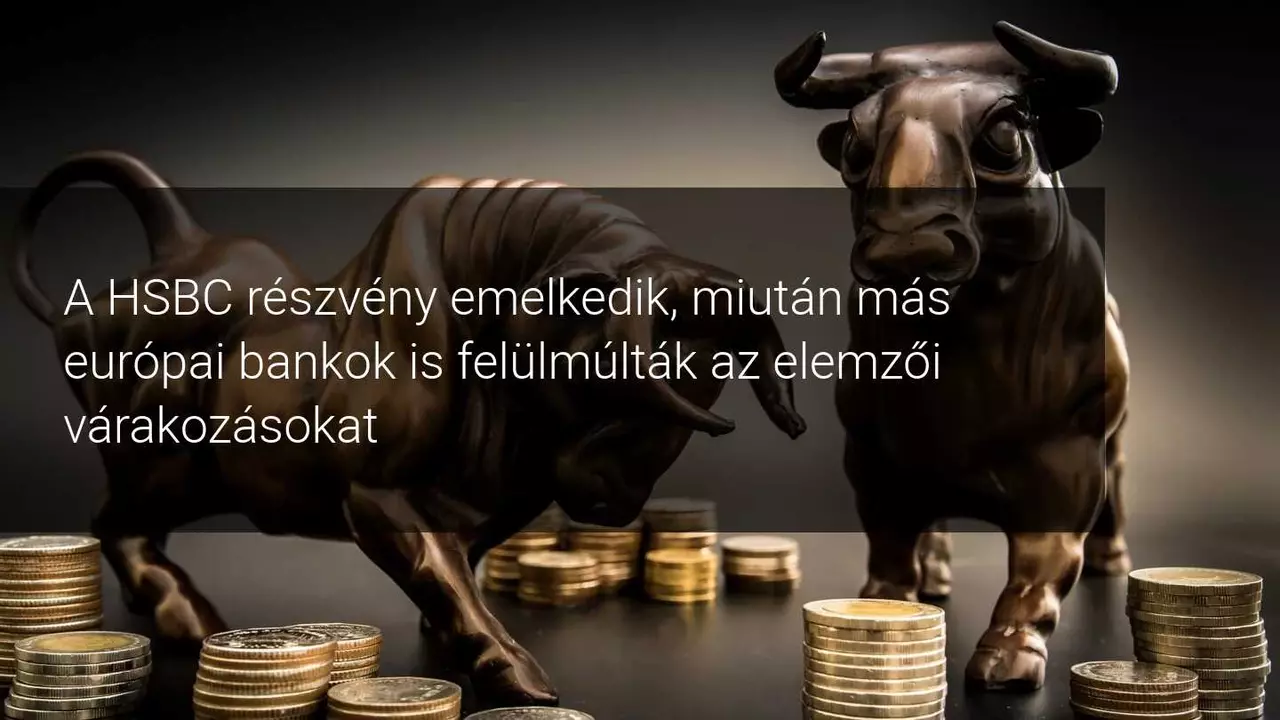 A HSBC részvényei megugrottak a nem várt nyereség miatt