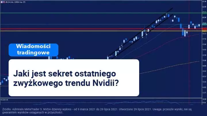 Cena akcji Nvidii rośnie dzięki zwiększonemu popytowi