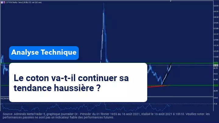 Quel avenir pour les prix du coton après une tendance à la hausse ?