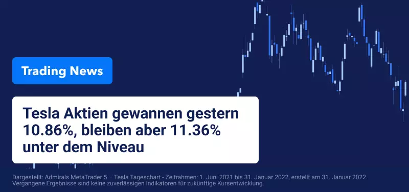 Tesla führt Wall Street-Gewinne am Ende eines volatilen Monats an