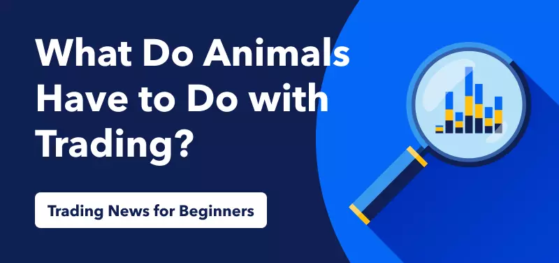 Trading News for Beginners – Animals in the Financial Markets