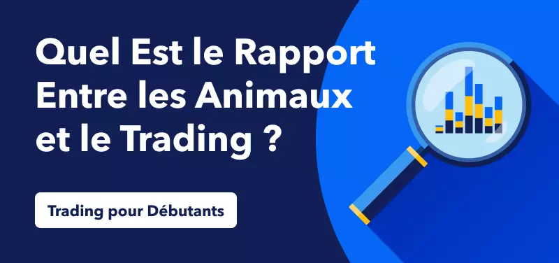 Actualité Économique pour les Débutants – Quel est le Rapport entre les Animaux et le Trading ?