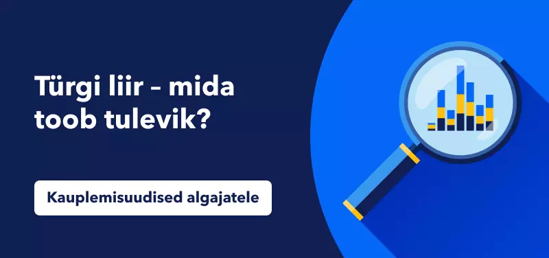 Türgi liir – mida toob tulevik?