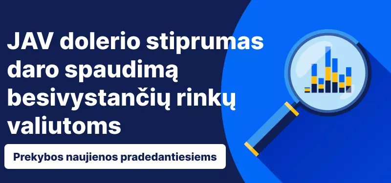 JAV dolerio stiprumas daro spaudimą besivystančių rinkų valiutoms