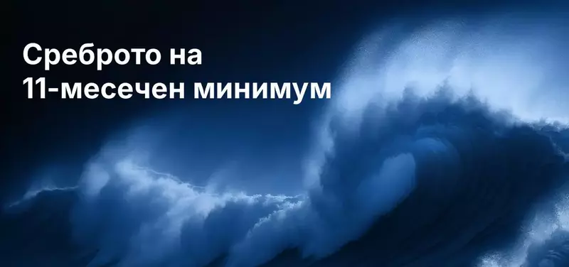 Цената на среброто след задържането на лихвите от Фед: Две ястребови позиции тласнаха среброто до 11-месечно дъно