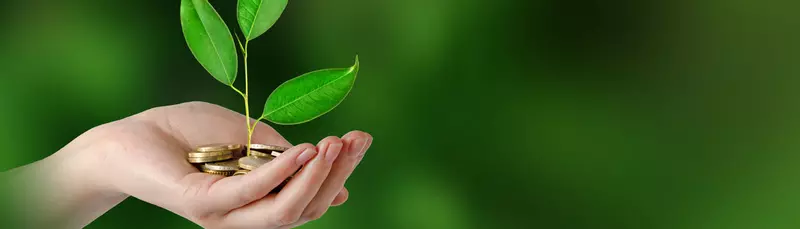 Investissement Vert | Qu’est-ce qu’un Investissement Durable?