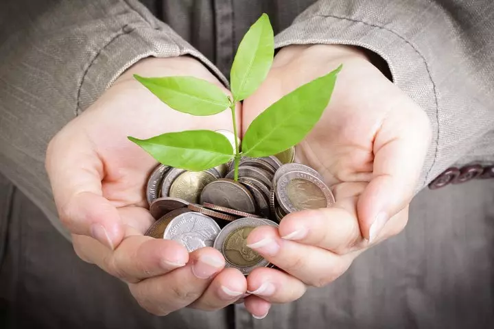 Green and Sustainable Investing