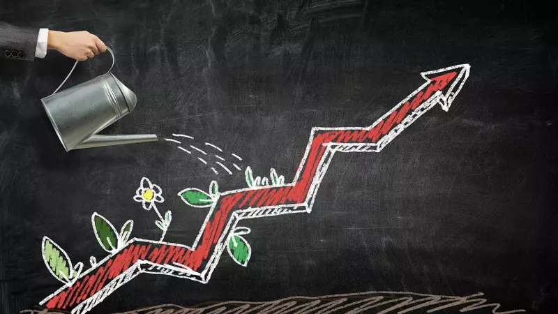Growth investing - De top groei aandelen van dit moment