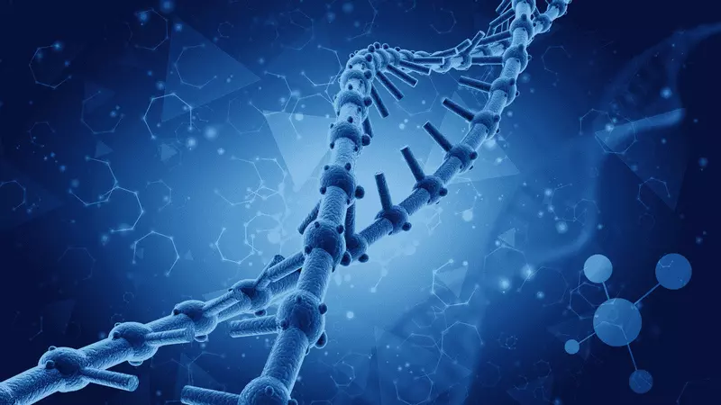 Das sind die besten Biotech Aktien