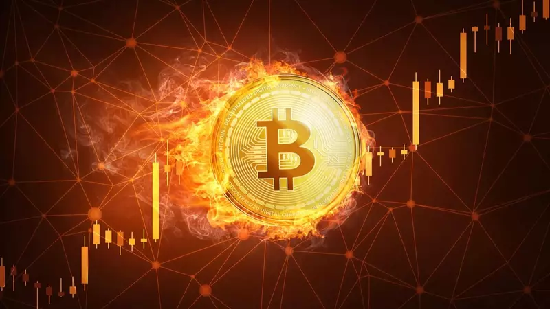 O que é Bitcoin Cash? Como Negociar Bitcoin Cash?