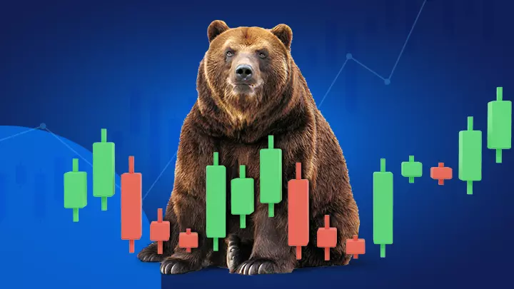 Wat is een Bear Market?