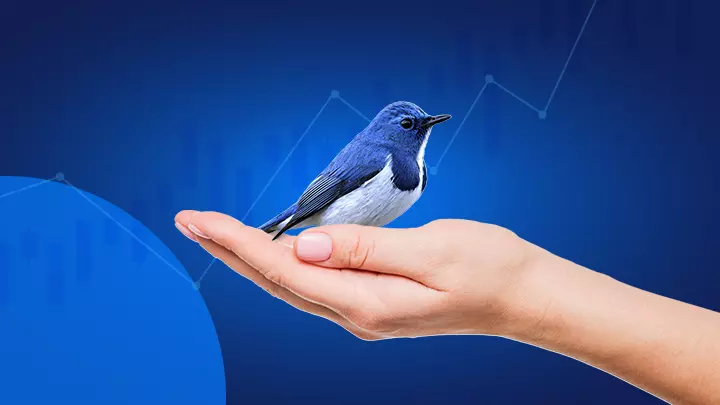 Акции Twitter: стоит ли купить TWTR?