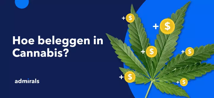 Top cannabis aandelen van 2025 - Beleggen in wiet