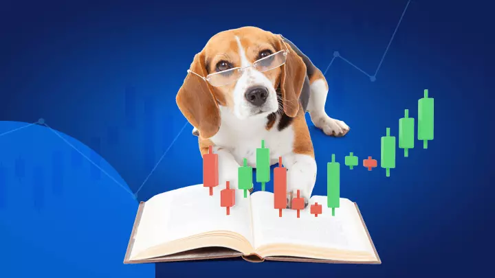 Mi az a Dogs of the Dow stratégia?