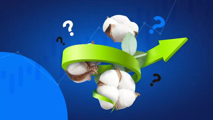 How to Trade Cotton CFDs