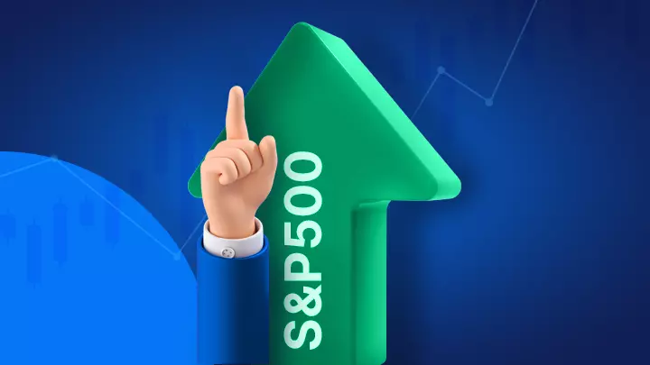 Beleggen in de SP500 - Samenstelling van de S&P500 Index