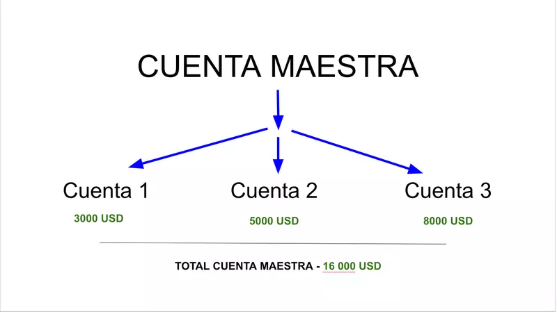 ¿Qué son las cuentas MAM?