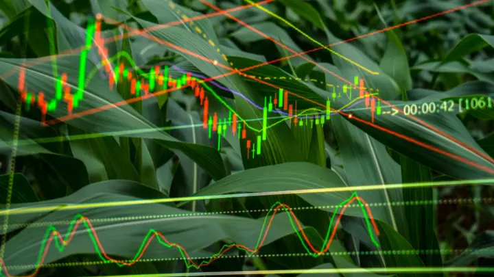 Top 5 Climate Tech Stocks to Watch