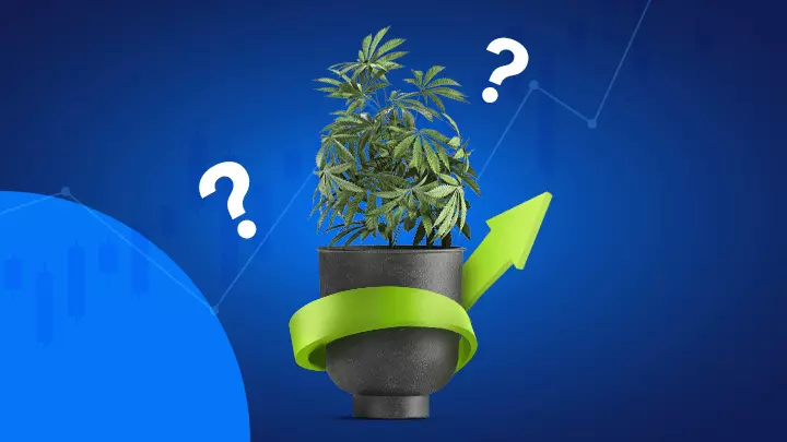 Cómo Invertir en Cannabis en 2025