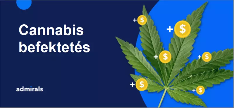 Cannabis befektetés 2025-ben