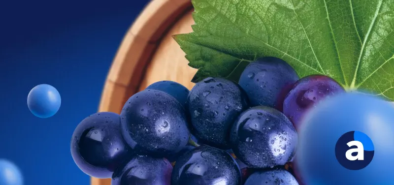 Como investir em vinhos em 2023?