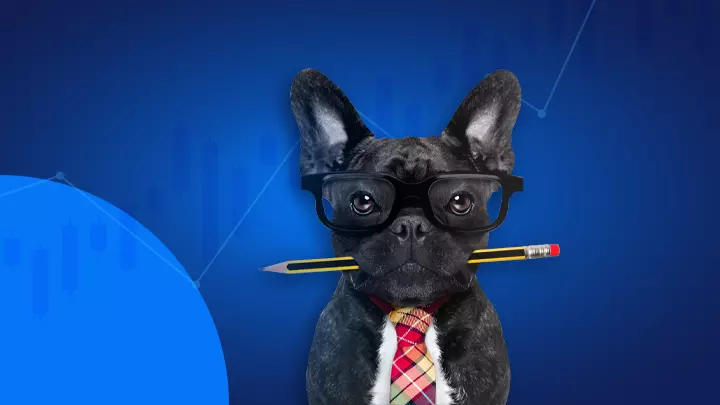 Vispārīgi par Dow Jones indeksu un Dogs of the Dow ieguldījumu stratēģiju